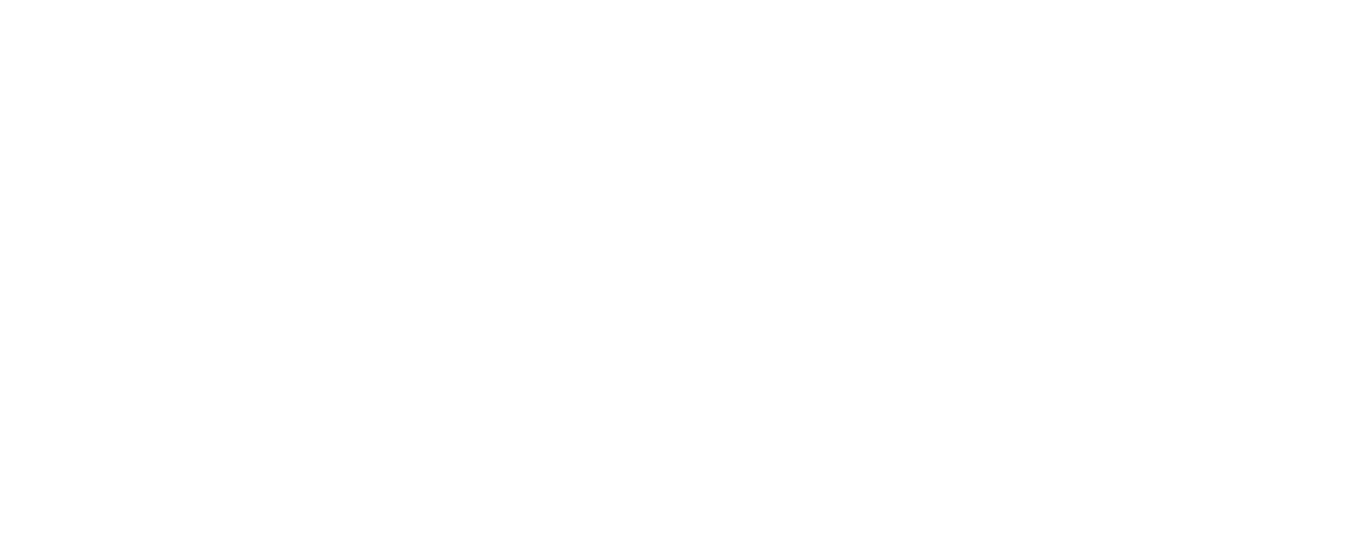 PERFORMANCE HEALTH & WELLNESS
